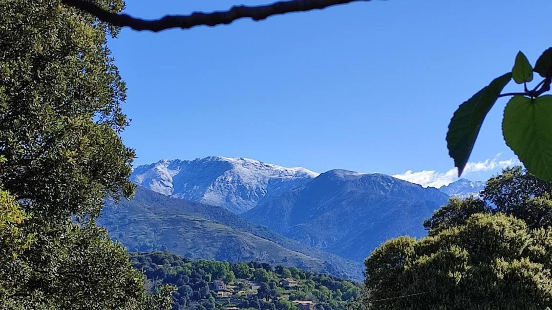 Mare E Monti Chez Thomas Et Magali Bed & Breakfast Vico Exterior photo